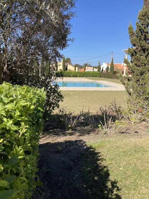 Panorama Apartment Sagres *Pool* Kültér fotó